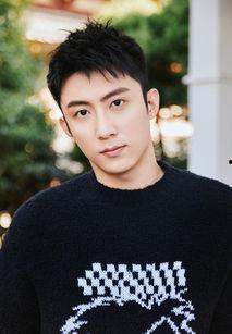 黄景瑜最新爆料新消息,揭秘演艺圈幕后真相